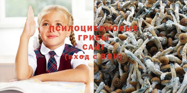 стаф Кукмор