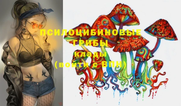 стафф Куйбышев