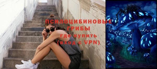 стаф Кукмор