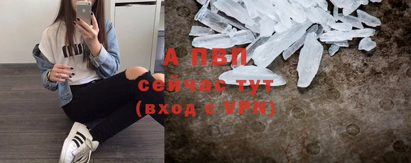 стафф Куйбышев